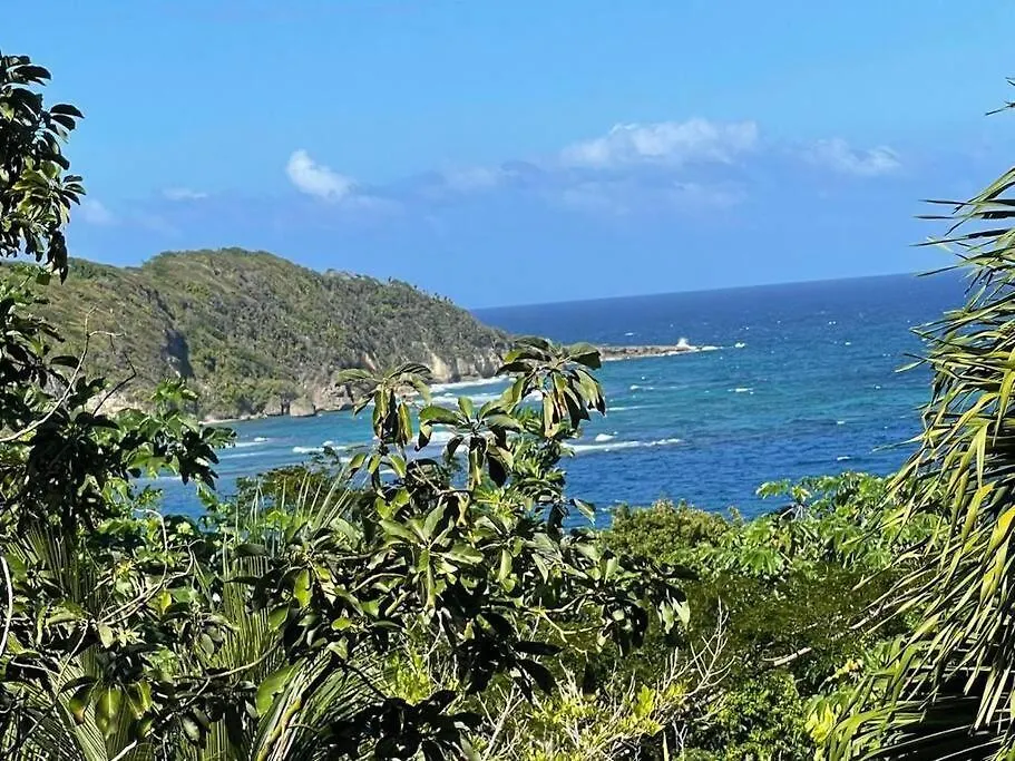 Casa vacanze Villa The Dream Saint Maryʼs Giamaica